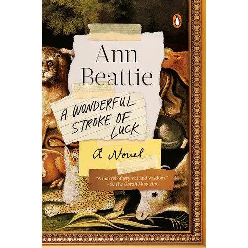 A Wonderful Stroke of Luck - Paperback