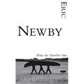 What the Traveller Saw - Paperback
