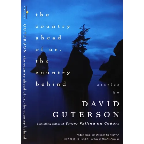 The Country Ahead of Us, the Country Behind - Paperback