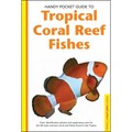 Tropical Coral Reef Fishes - Paperback