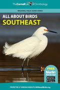 All about Birds Southeast - Paperback