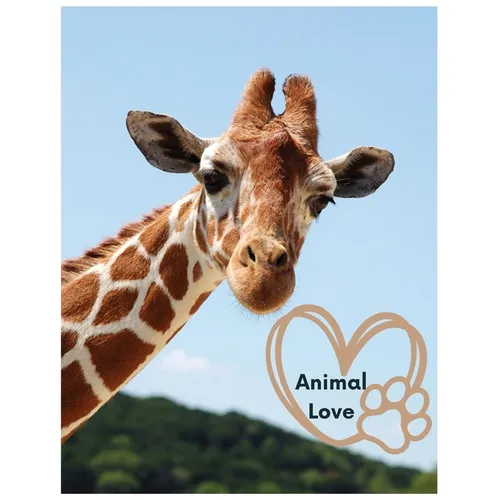 Animal Love: A picture book for Seniors with dementia or Alzheimer's patients. Cute photos of animals with uplifting quotes in larg - Paperback