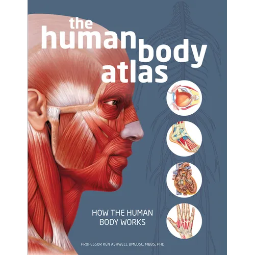 The Human Body Atlas: How the Human Body Works - Hardcover