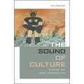 The Sound of Culture: Diaspora and Black Technopoetics - Paperback