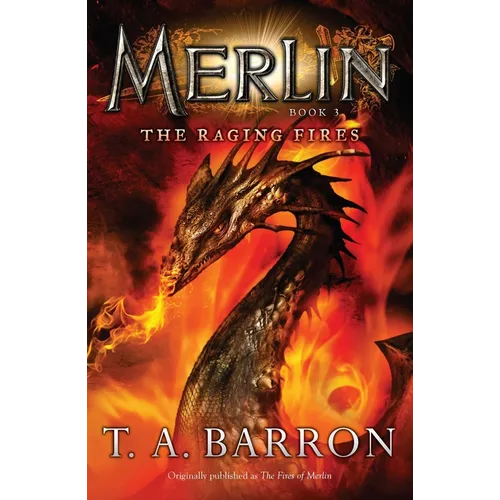 The Raging Fires - Paperback