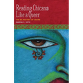 Reading Chican@ Like a Queer: The De-Mastery of Desire - Paperback